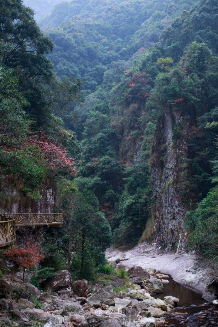机智问答|水性木器漆用水擦会掉吗?的专业问题解答